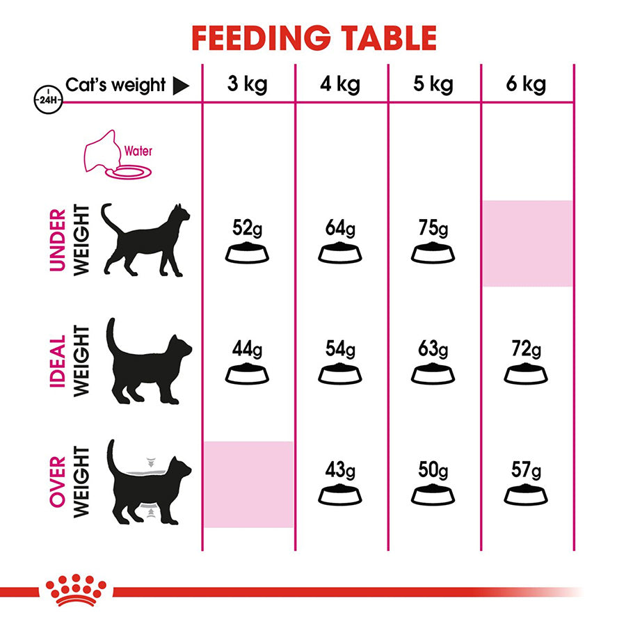 Feeding table chart for cats with weight categories and recommended food amounts.