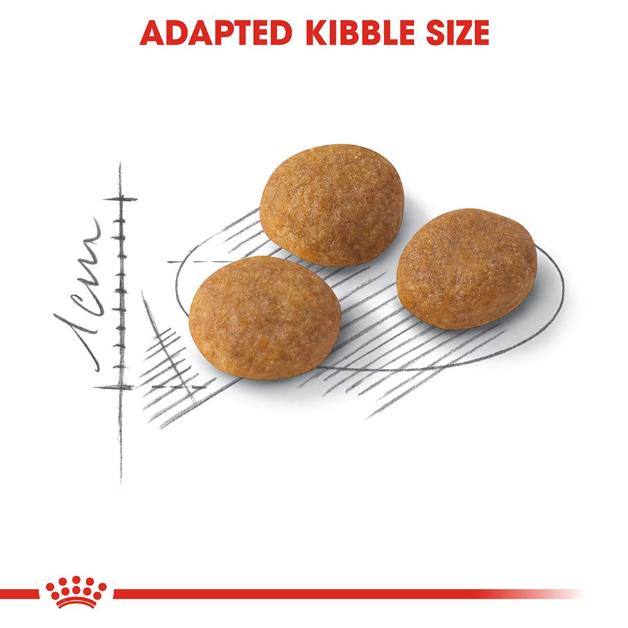 Three brown kibble pieces on a white background with 'Adapted Kibble Size' text and Royal Canin logo.