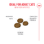 Royal Canin | Feline Health Nutrition | Dry Cat Food | Fussy