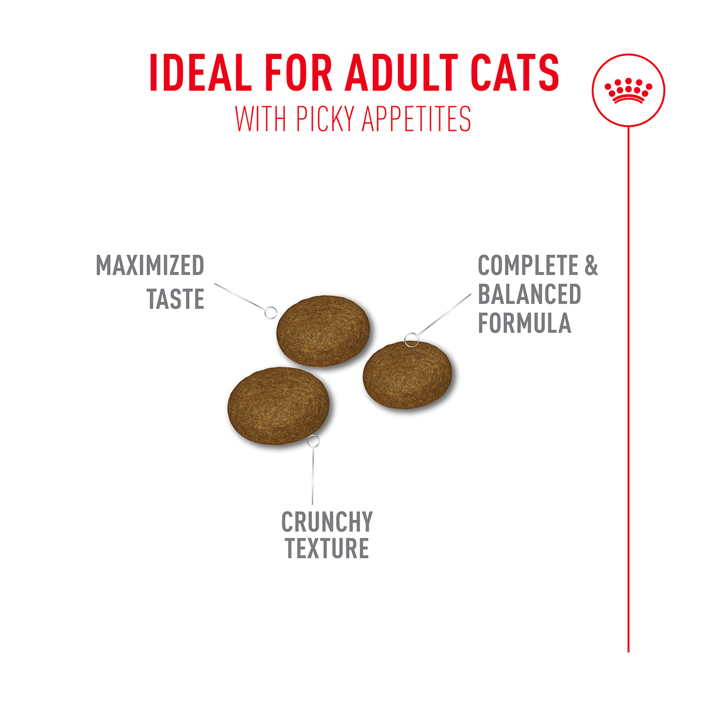 Royal Canin | Feline Health Nutrition | Dry Cat Food | Fussy
