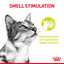 Royal Canin Sensory Smell | Aromatic Wet Cat Food - 85g