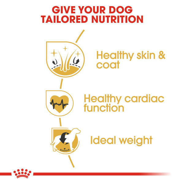 Royal Canin | Breed Health Nutrition | Dry Dog Food | Adult Golden Retriever - 12kg