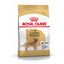 Royal Canin | Breed Health Nutrition | Dry Dog Food | Adult Golden Retriever - 12kg