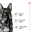 Illustration of a German Shepherd with health benefits listed on a white background