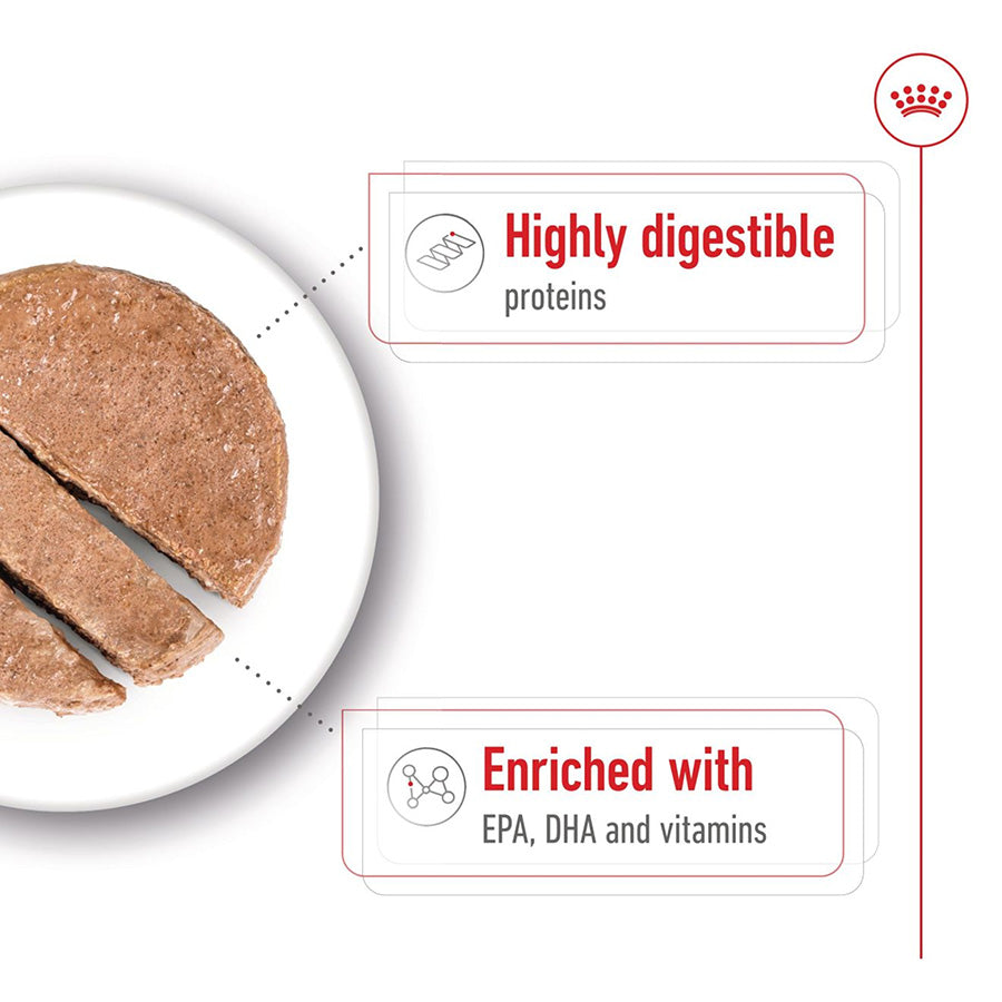 Dog food on a plate with text highlighting 'Highly digestible proteins' and 'Enriched with EPA, DHA and vitamins'.