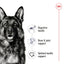 Illustration of a German Shepherd with health benefits listed on a white background