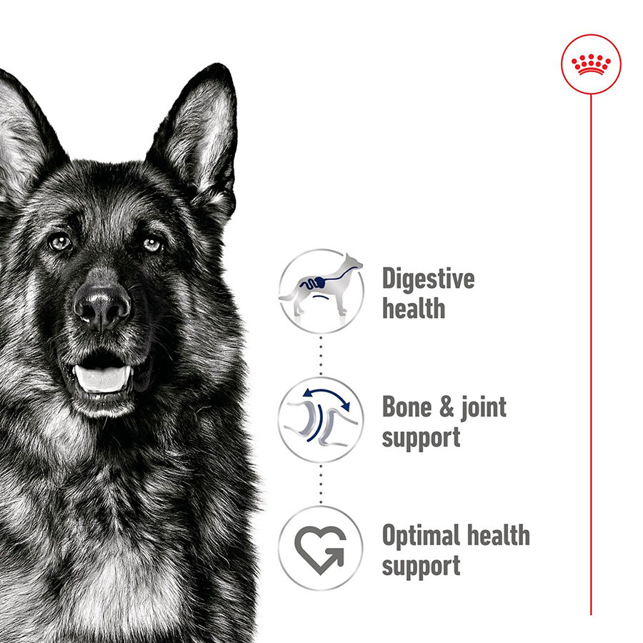 Illustration of a German Shepherd with health benefits listed on a white background