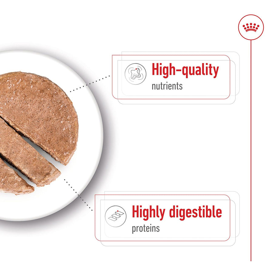 Dog food on a plate with text highlighting high-quality nutrients and highly digestible proteins.
