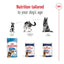 Royal Canin dog food products with age stages on a white background