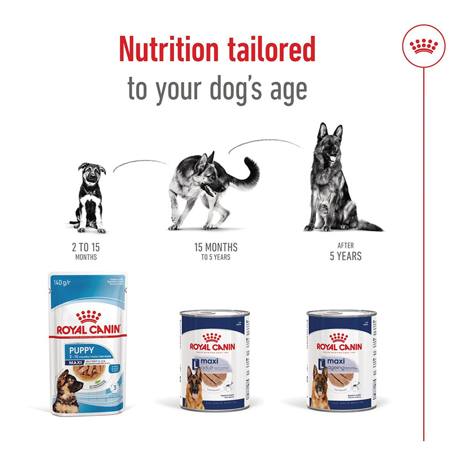 Royal Canin dog food products with age stages on a white background