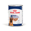 Royal Canin Maxi Adult dog food can on a white background