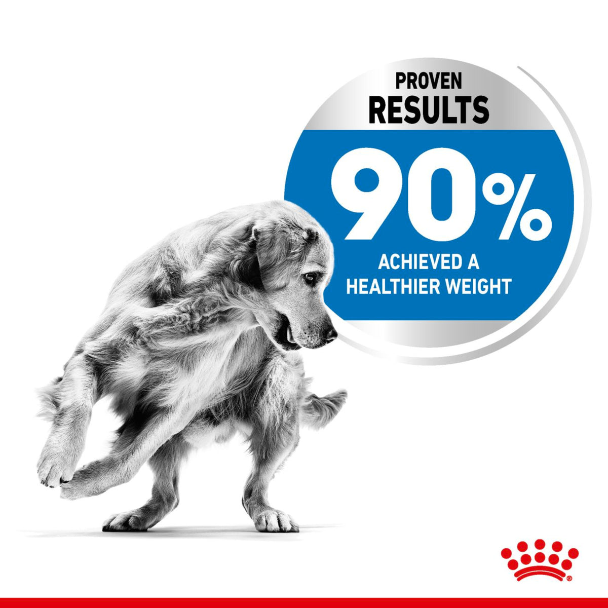 Dog with a healthier weight, showing 90% weight loss achieved, on a white background with a visible brand logo.