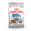 Royal Canin Light Weight Care Maxi dog food packaging on a white background