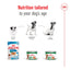 Royal Canin dog food products with stages of a dog's life on a white background
