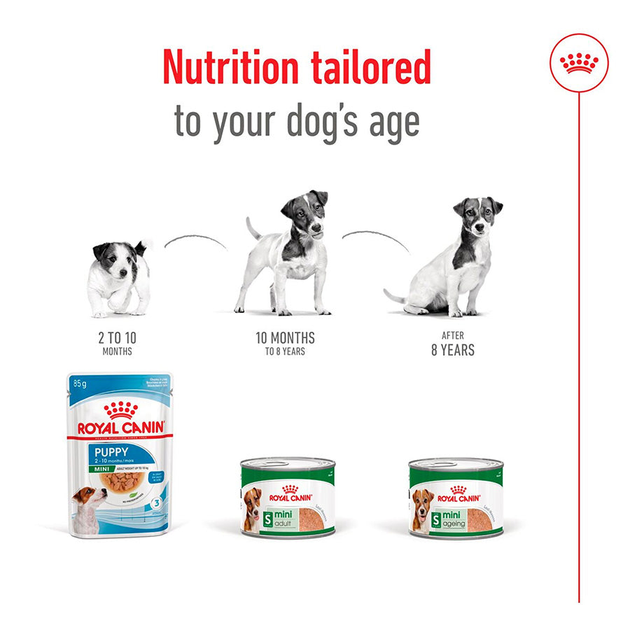 Royal Canin dog food products with stages of a dog's life on a white background