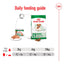 Royal Canin mini dog food packaging with daily feeding guide on a white background