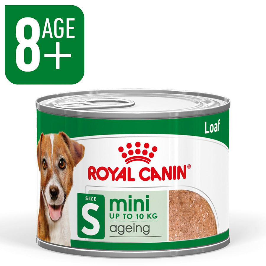 Royal Canin mini ageing dog food can for dogs up to 10 kg on a white background