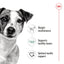 Black and white dog with health benefits listed on a white background