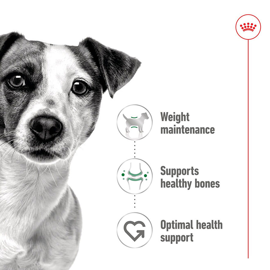 Black and white dog with health benefits listed on a white background