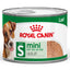 Can of Royal Canin mini adult dog food on a white background