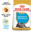 Royal Canin | Breed Health Nutrition | Dry Dog Food | Junior Miniature Schnauzer - 1.5kg