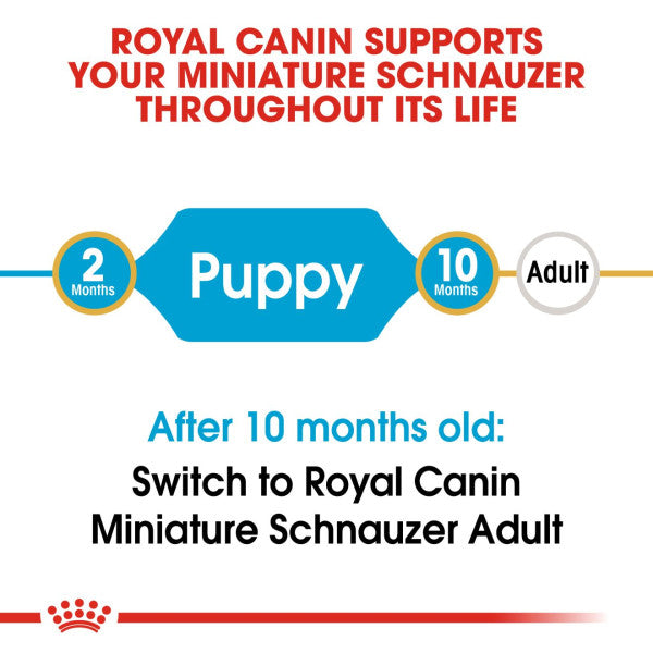 Royal Canin | Breed Health Nutrition | Dry Dog Food | Junior Miniature Schnauzer - 1.5kg