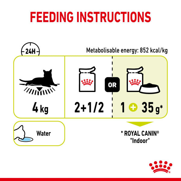 Royal Canin Sensory Smell | Aromatic Wet Cat Food - 85g