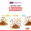 Royal Canin Sensory Smell | Aromatic Wet Cat Food - 85g