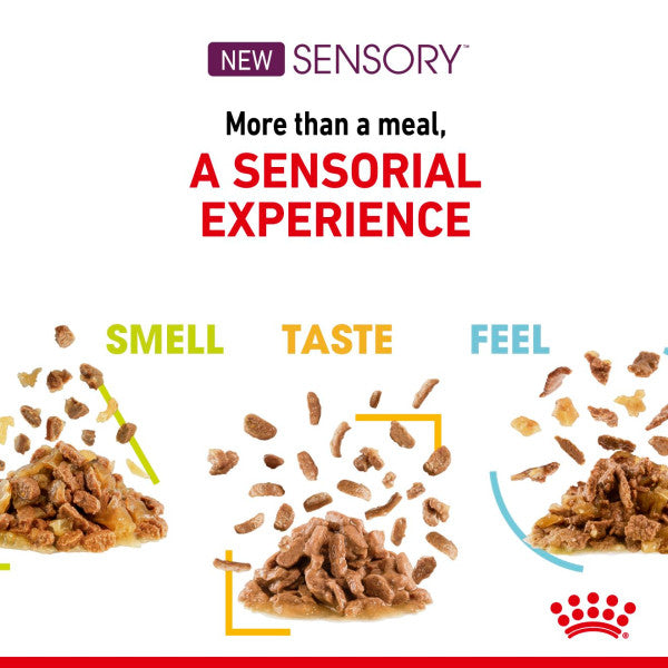 Royal Canin Sensory Smell | Aromatic Wet Cat Food - 85g