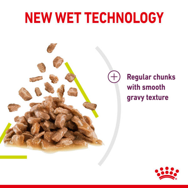 Royal Canin Sensory Smell | Aromatic Wet Cat Food - 85g