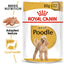 Royal Canin Poodle wet dog food packaging on a white background