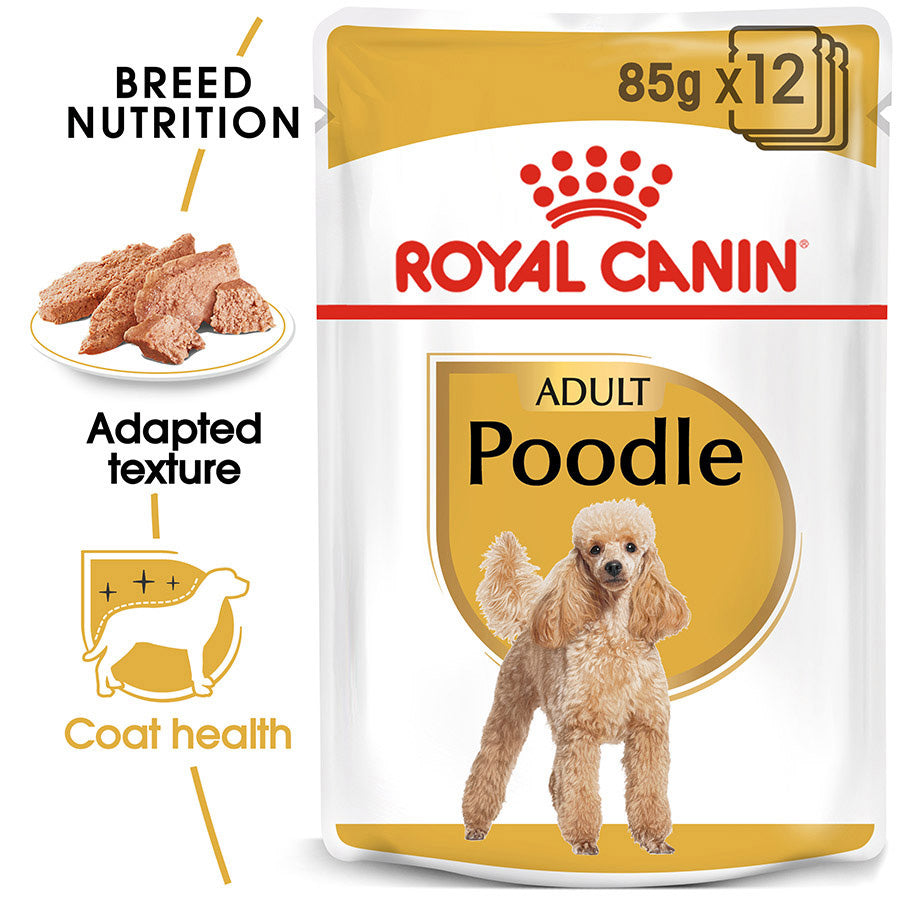 Royal Canin Poodle wet dog food packaging on a white background