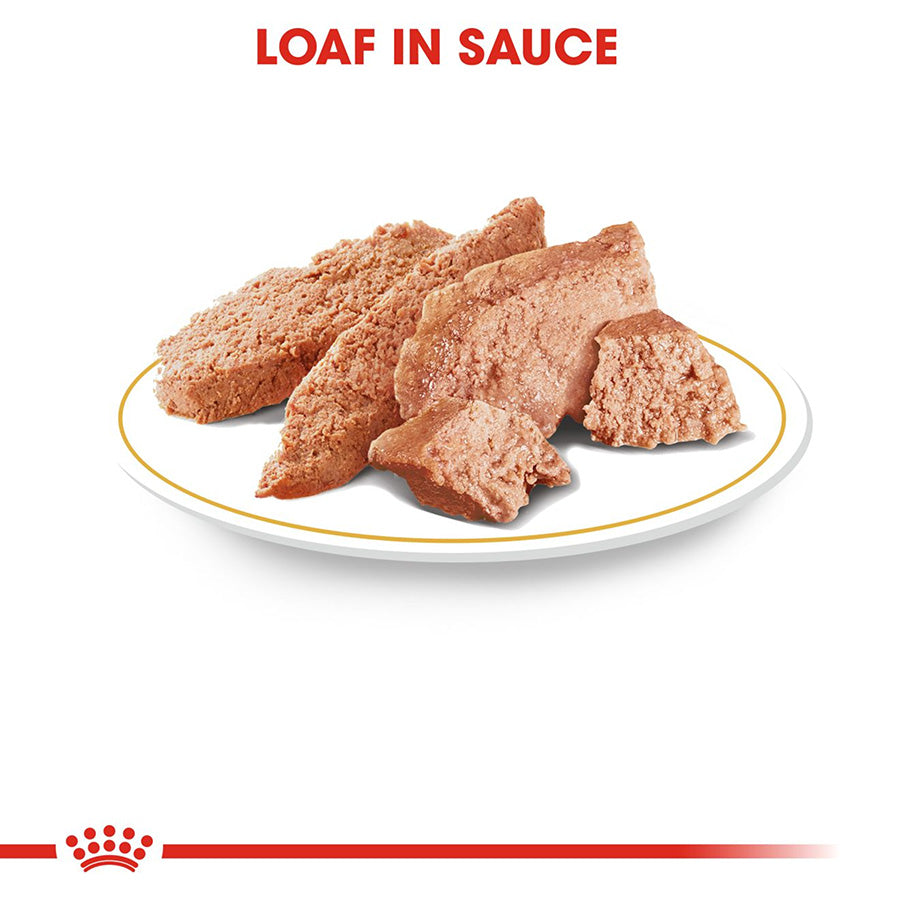 Dog food loaf in sauce on a white plate with red text and logo.