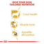 Diagram showing how tailored nutrition benefits a dog's coat health, muscle tone, and appetite stimulation with a red and yellow color scheme.
