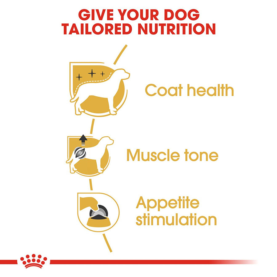 Diagram showing how tailored nutrition benefits a dog's coat health, muscle tone, and appetite stimulation with a red and yellow color scheme.
