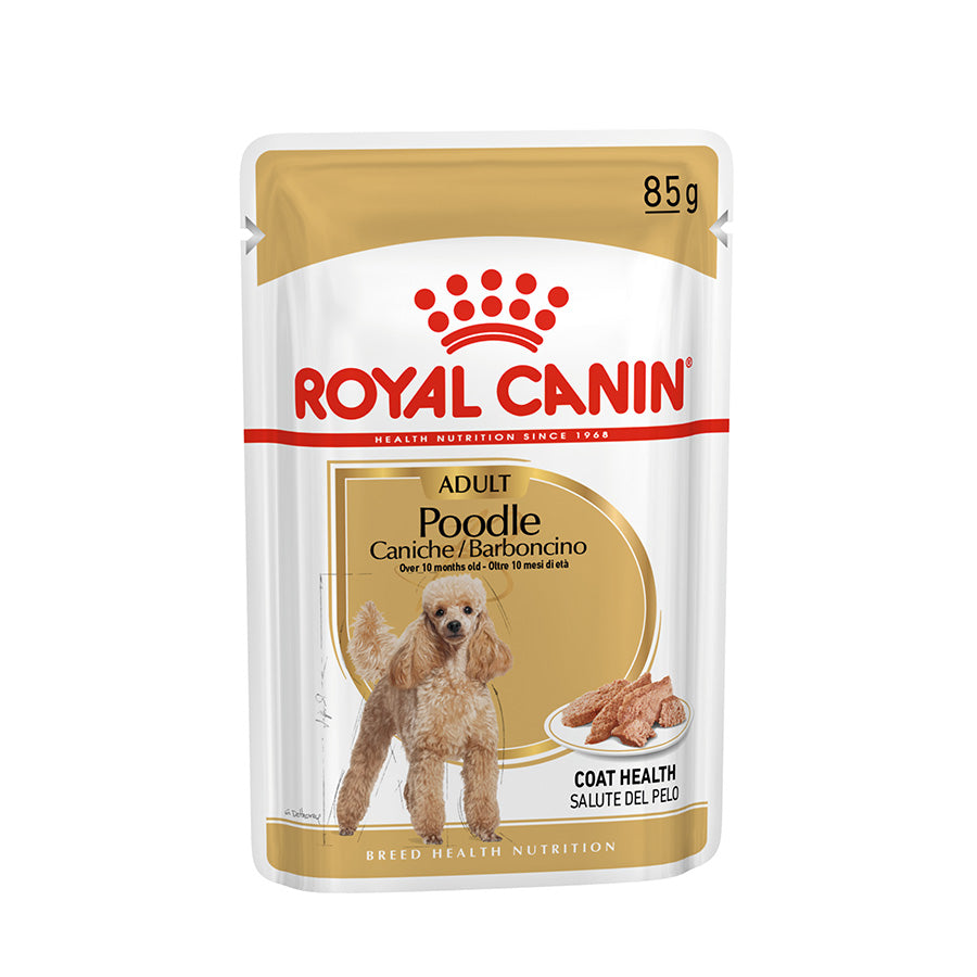 Royal Canin Poodle wet dog food pouch on a white background