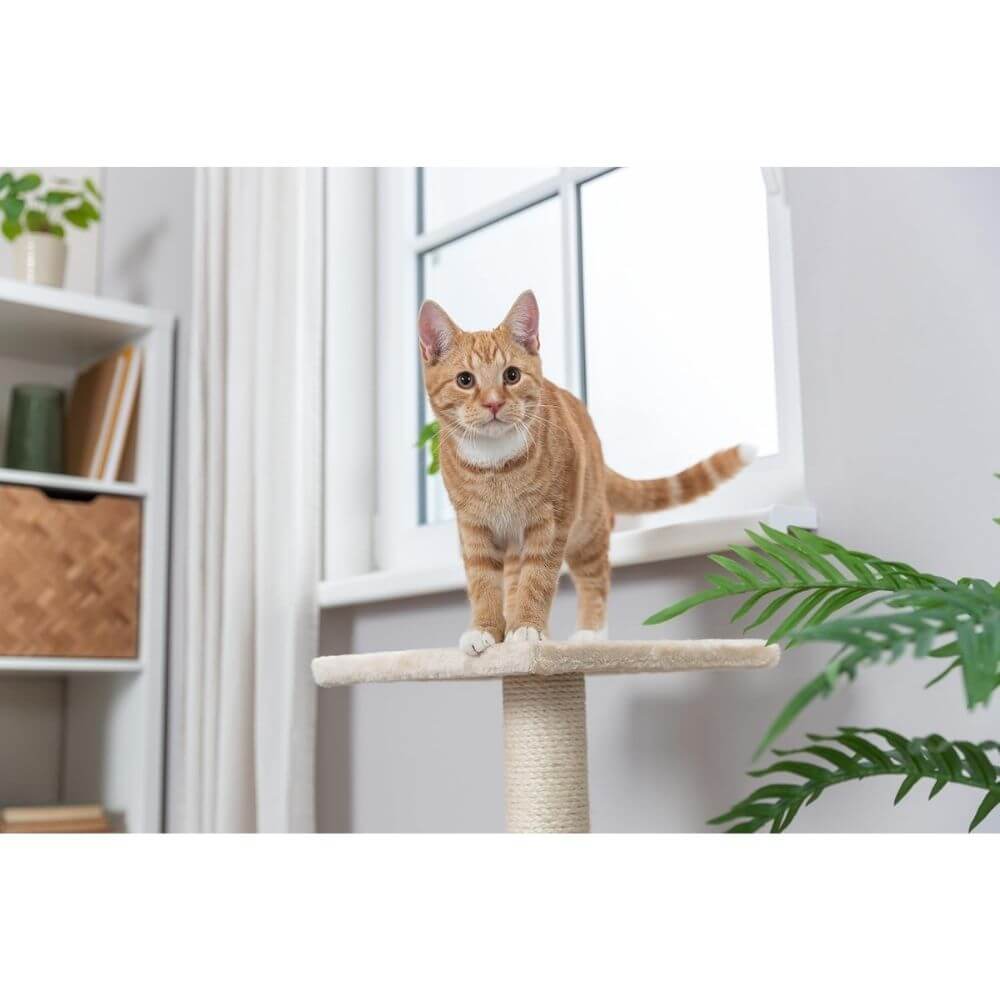 Trixie Cat Tree Baena - Beige PATS