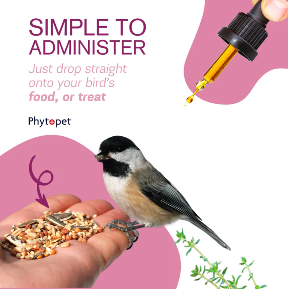 PhytoPet | Chicken Boost | General Tonic for Poultry, Game & Aviary Birds