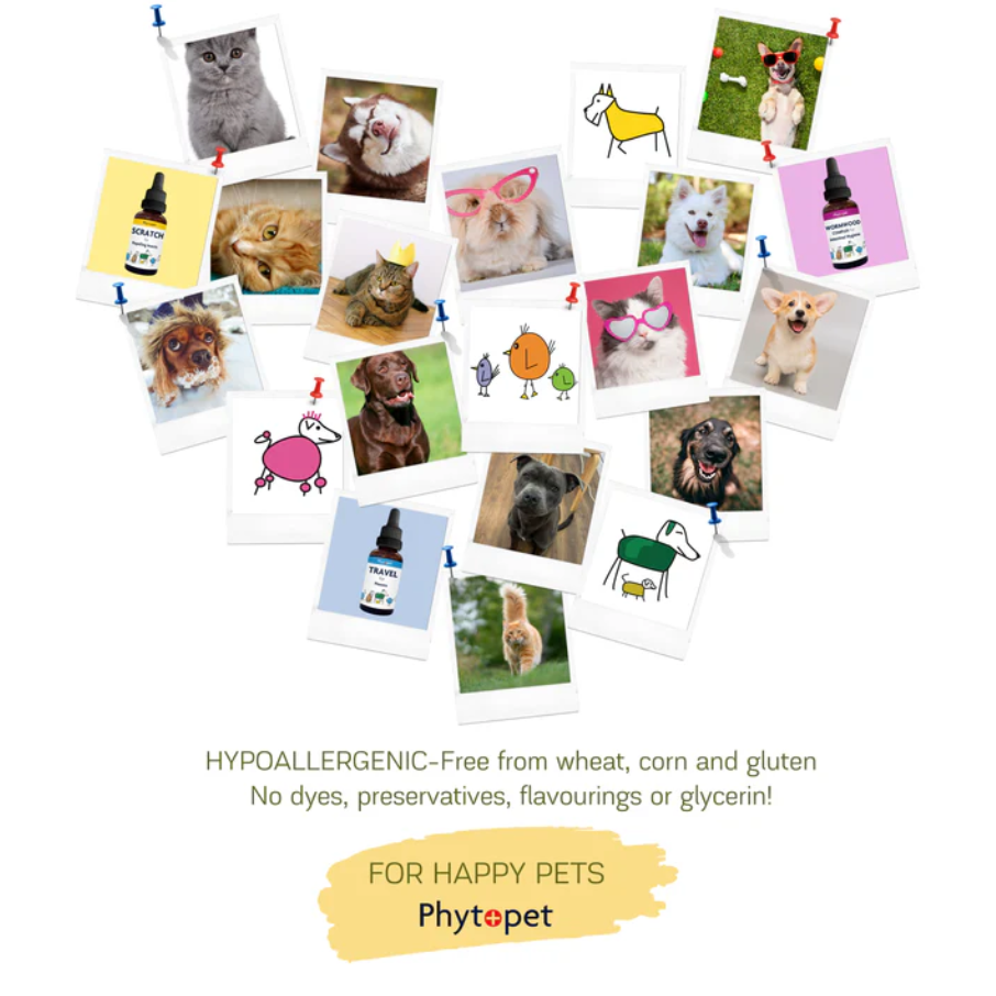 PhytoPet | Pad Oil for Bruised & Sore Skin