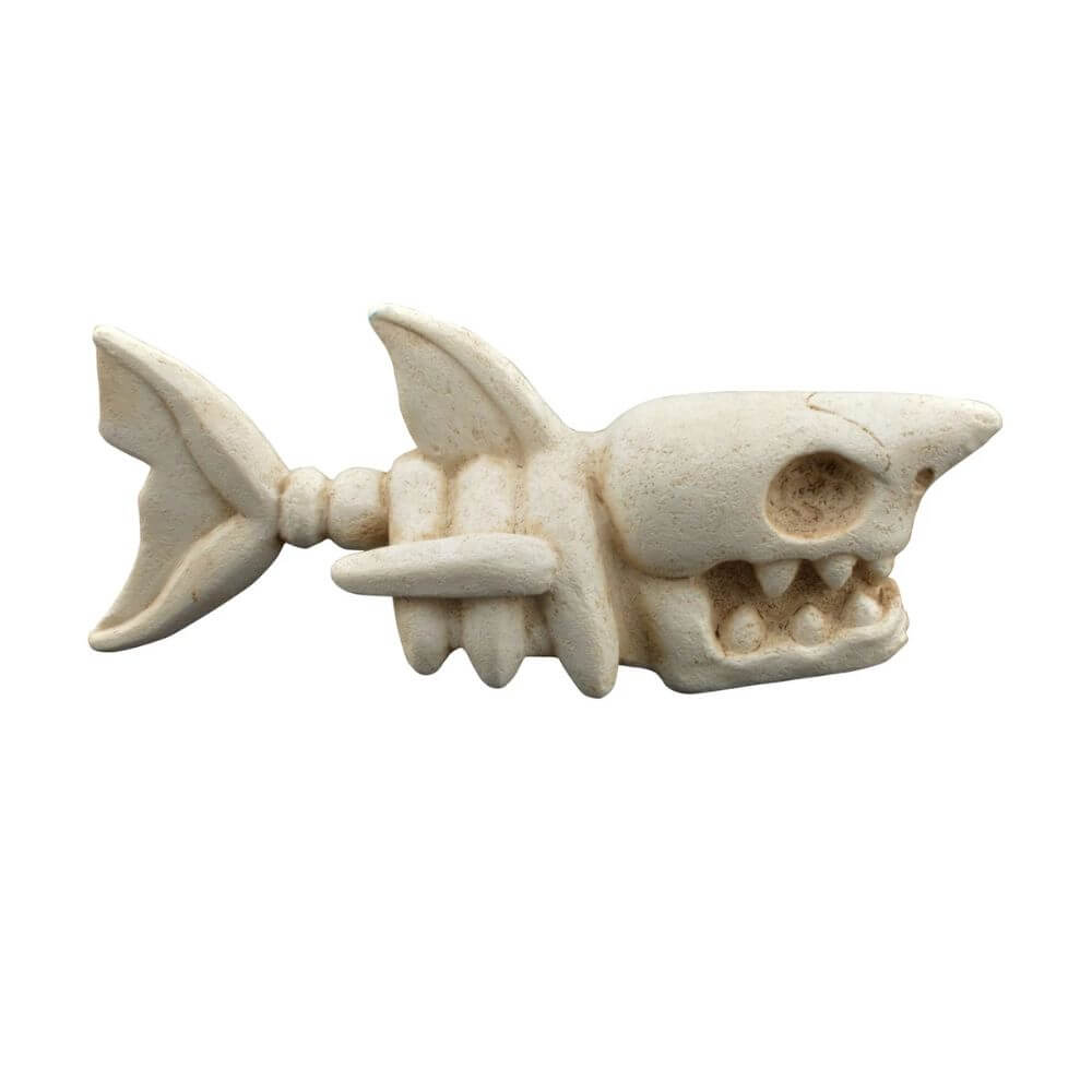 Shark Skeleton Small