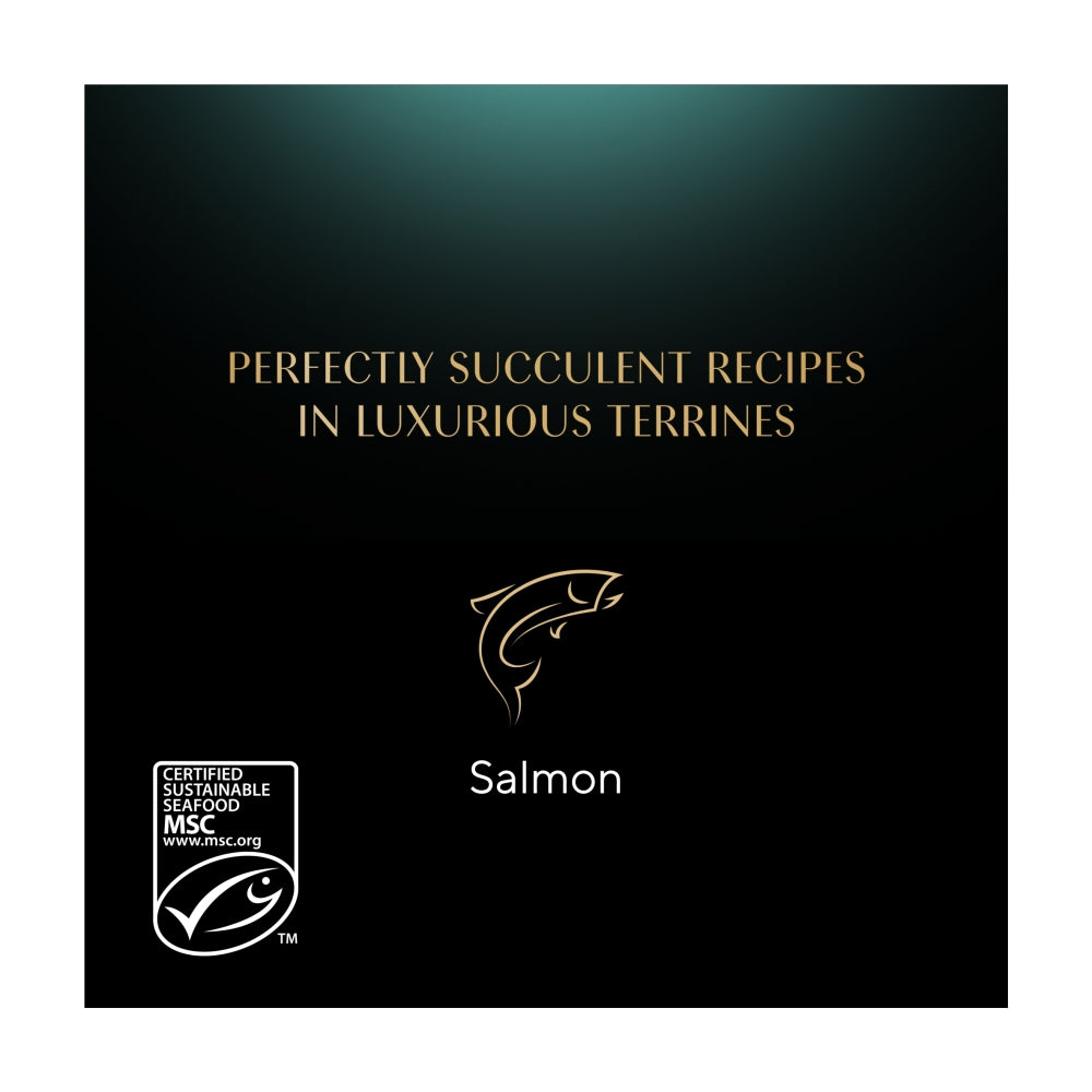 Sheba | Fine Flakes in Jelly with Salmon | 85g