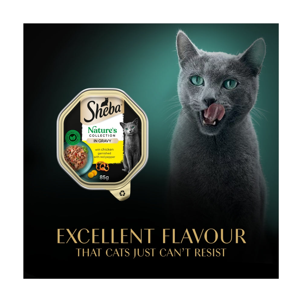 Sheba Cat Tray 85g Natures Collection Chicken Garnished with Red Pepper In Gravy