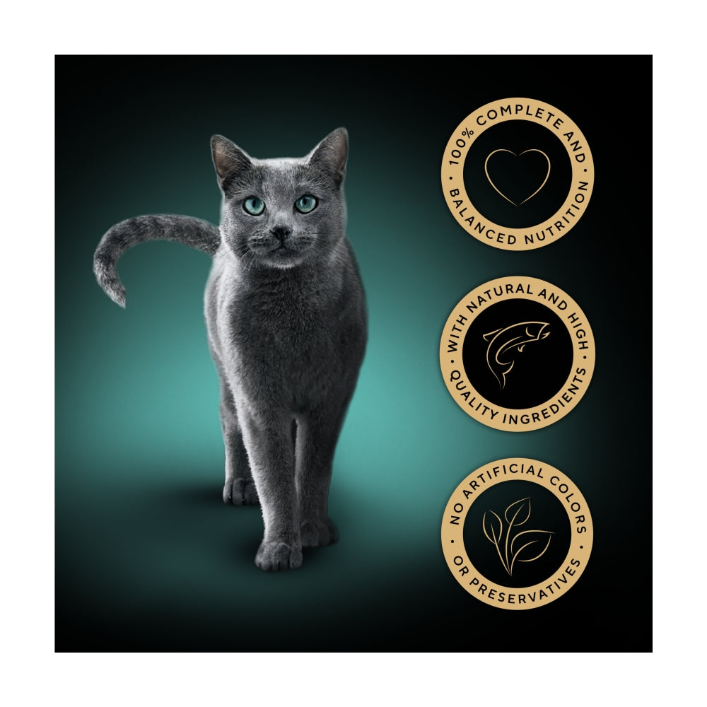 Sheba | Fine Flakes in Jelly with Salmon | 85g
