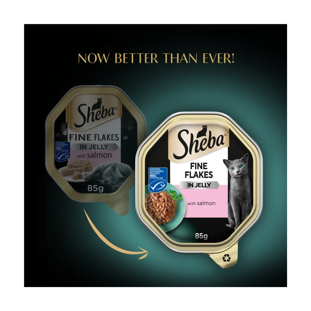 Sheba | Fine Flakes in Jelly with Salmon | 85g