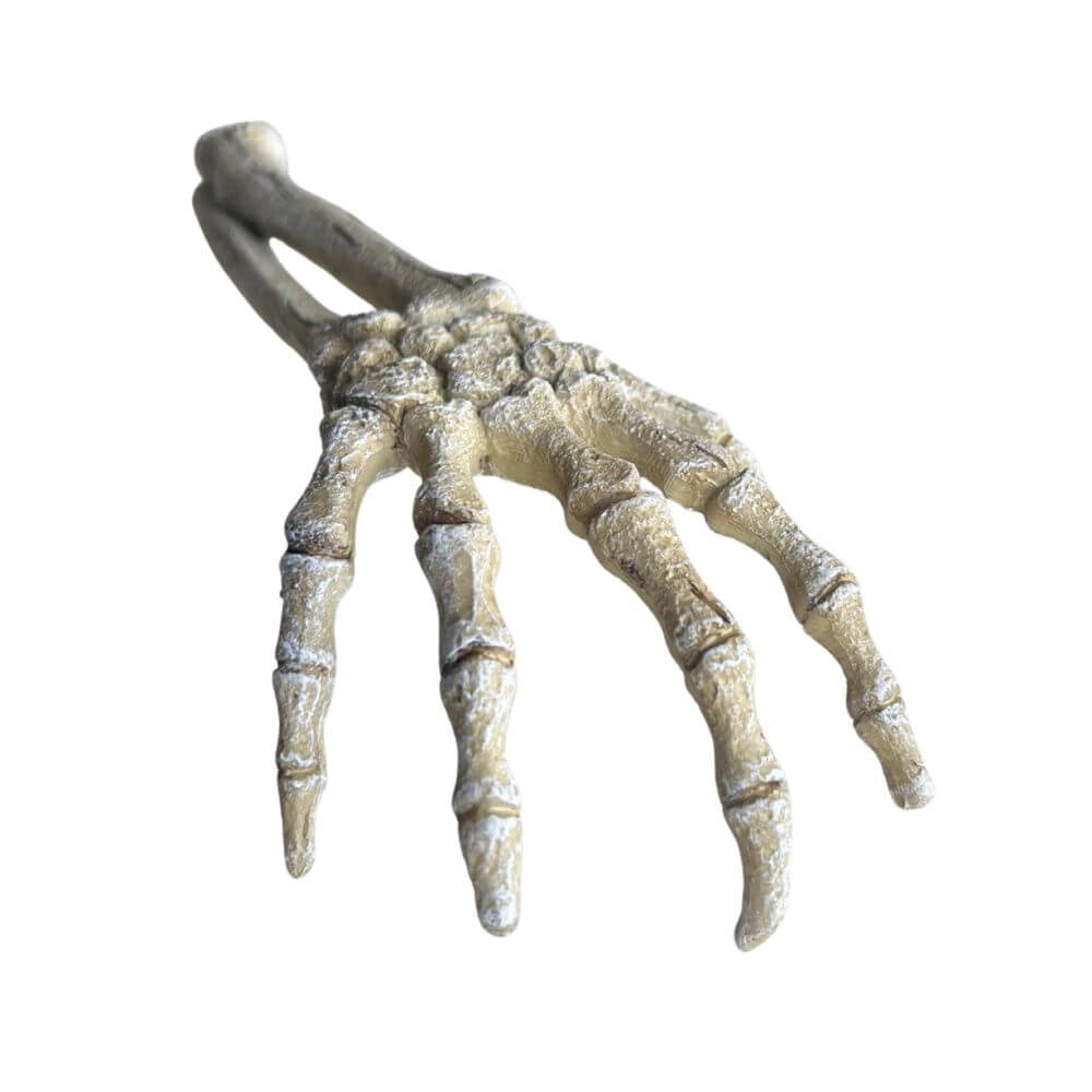 Betta Skeleton Hand