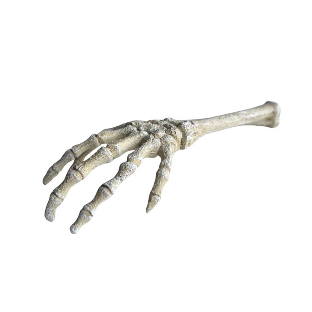 Betta Skeleton Hand