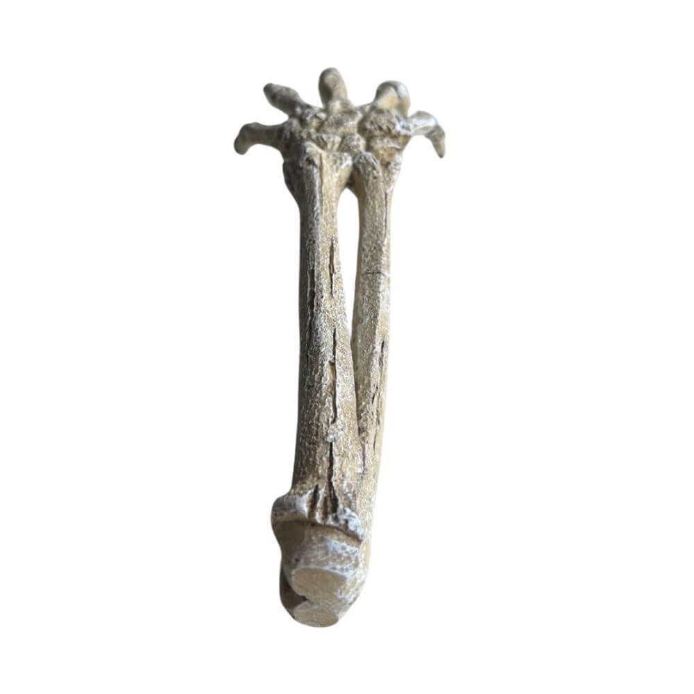 Betta Skeleton Hand