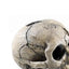 Classic Spooky Skull