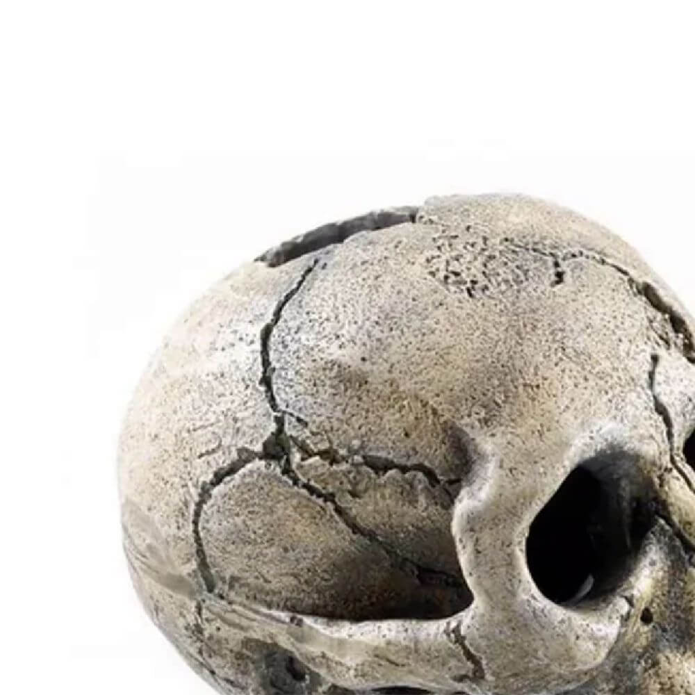 Classic Spooky Skull