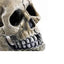 Classic Spooky Skull